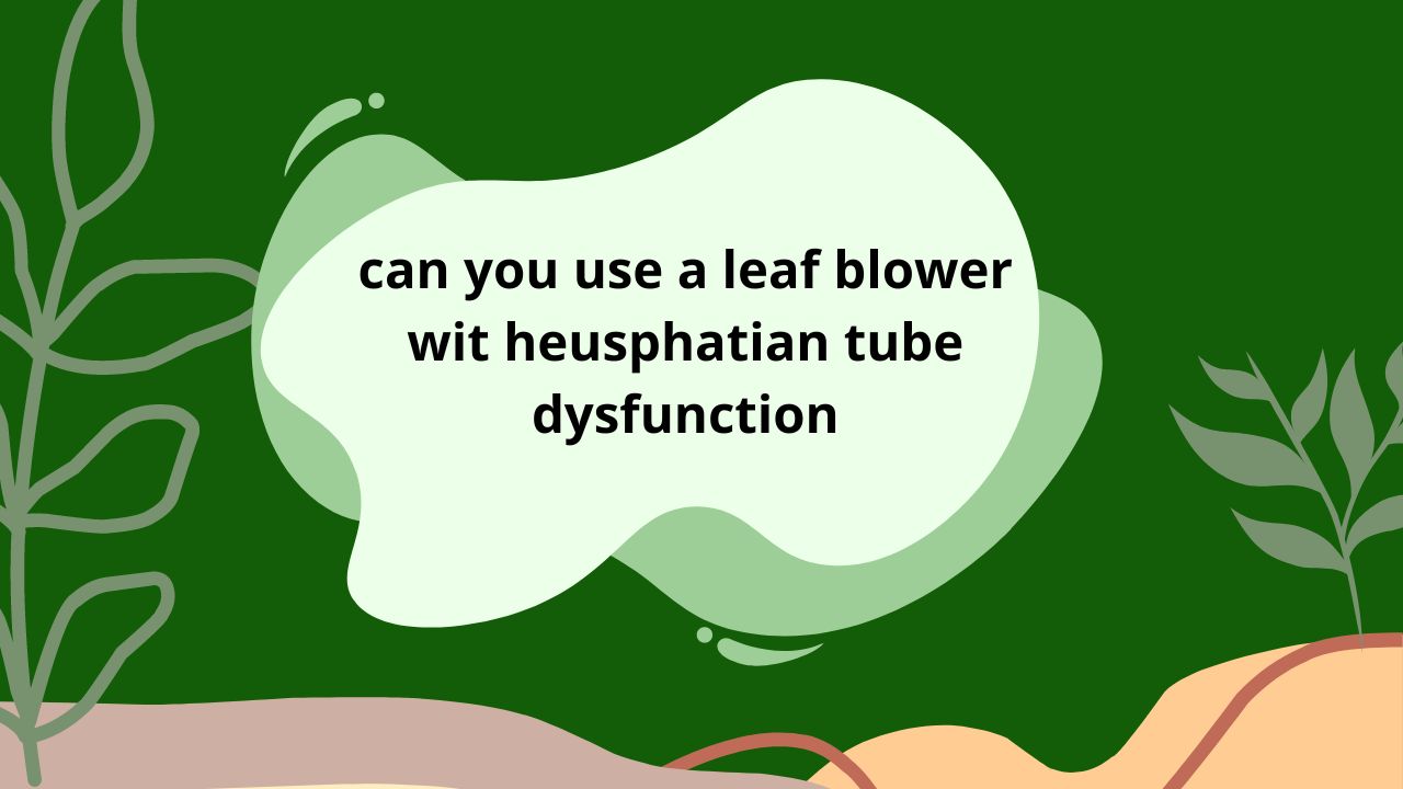 can you use a leaf blower wit heusphatian tube dysfunction