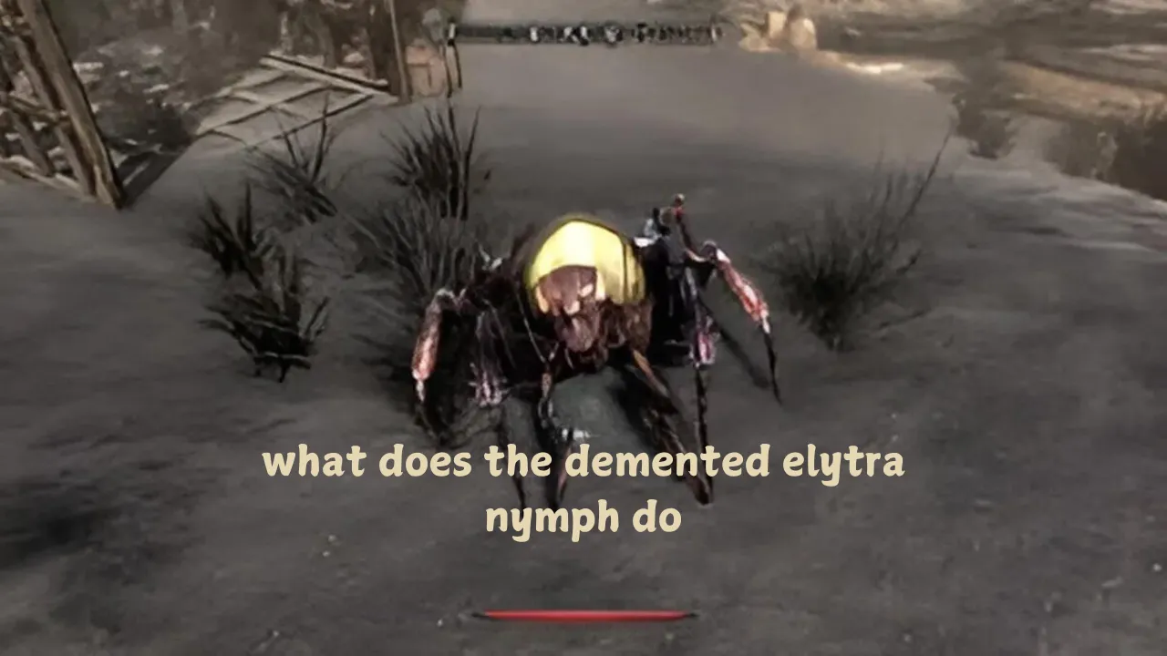 what does the demented elytra nymph do