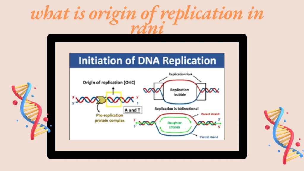 what is origin of replication in rani