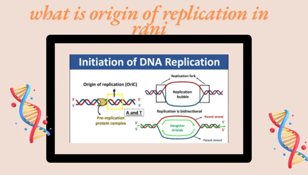 what is origin of replication in rani