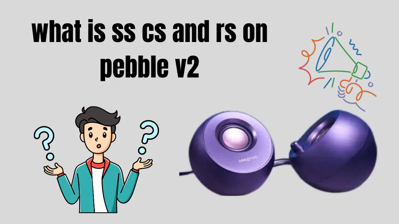 what is ss cs and rs on pebble v2