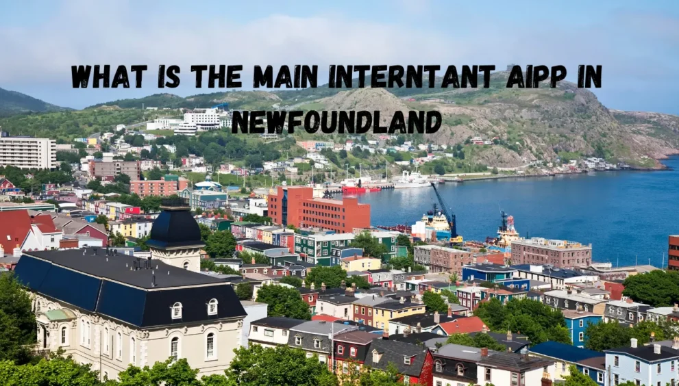 what is the main interntant aipp in newfoundland