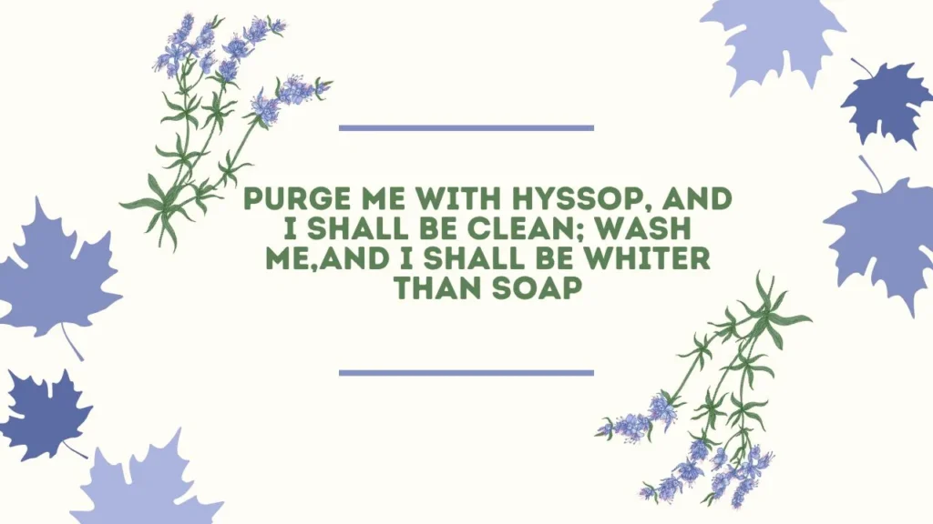 what is the verse about david being purged ny hyssop