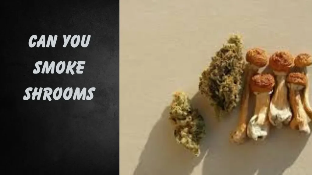 can you smoke shrooms