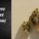 can you smoke shrooms