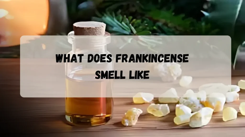 what does frankincense smell like